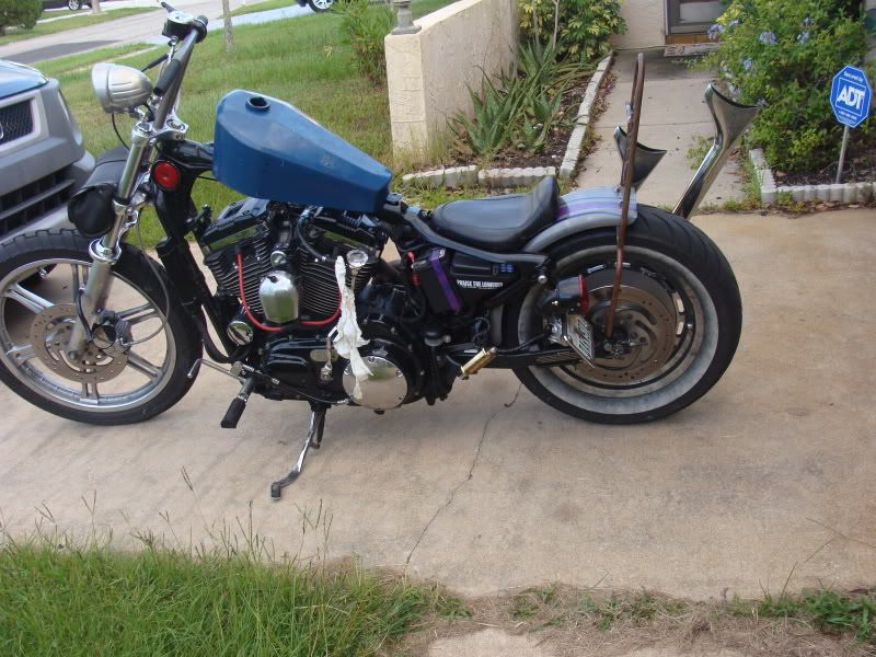 coffin tank sportster